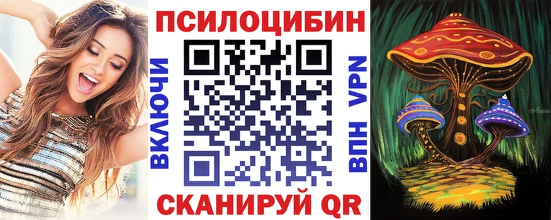 blacksprut ССЫЛКА  Таруса  Псилоцибиновые грибы Psilocybe 